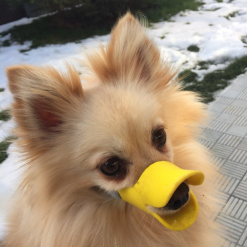 Cute Duck Dog Muzzle Silicone