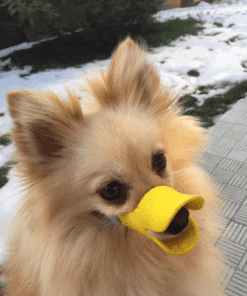 Cute Duck Dog Muzzle Silicone