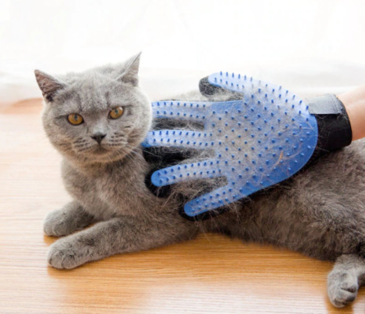 Pet Hair Removal Glove Deshedding Brush Don Shopping