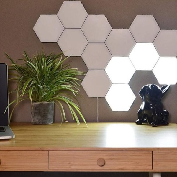 Wall Mounted LED Lights